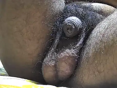 Snapshot of indiboy009 chatting on September 17, 2025, 6:31 pm indiboy009 online show from September 17, 2025, 6:31 pm