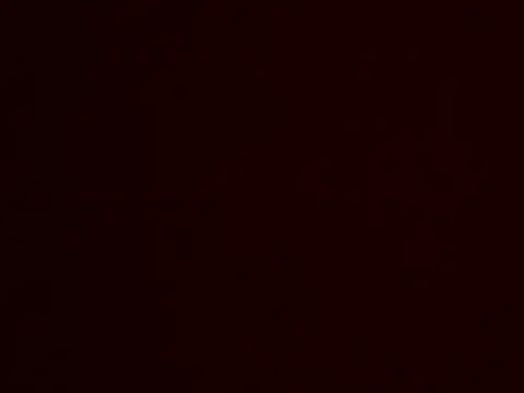 Leeszim26 online show from June 6, 2026, 12:05 am
