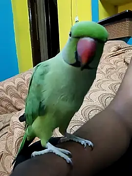 Lawrencedlkk007 online show from March 9, 2025, 7:34 am