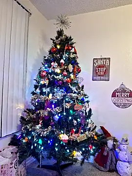 Snapshot of XxMs_StarzxX chatting on December 21, 2025, 11:45 pm XxMs StarzxX online show from December 21, 2025, 11:45 pm