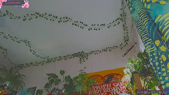 Dead Butterfly online show from September 18, 2025, 3:08 am