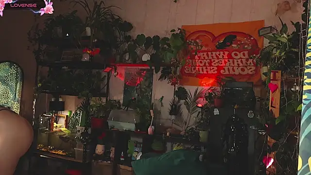 Dead Butterfly online show from November 1, 2025, 3:08 am