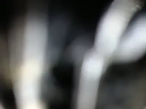 Snapshot of kattydirtylol chatting on February 12, 2025, 11:09 pm kattydirtylol online show from February 12, 2025, 11:09 pm