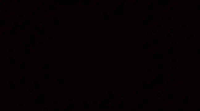 Blackswinger online show from March 4, 2025, 9:51 am