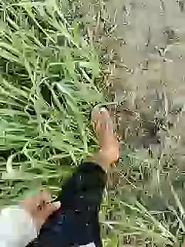 ThethunderPo online show from February 19, 2025, 1:51 am