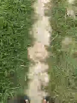 ThethunderPo online show from April 1, 2026, 2:45 am