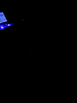 DespisedStallion online show from December 3, 2024, 1:41 am