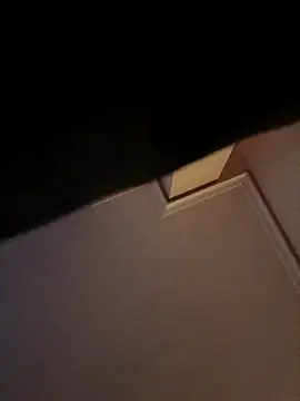 DespisedStallion online show from November 29, 2025, 9:01 am