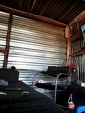 2soyte online show from April 21, 2026, 8:53 am