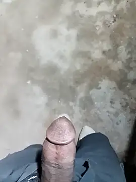 Bengali BULL1 online show from November 15, 2025, 6:26 pm