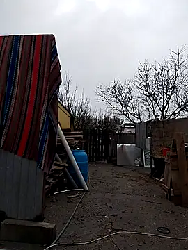 sarpe4 online show from November 9, 2025, 8:56 am