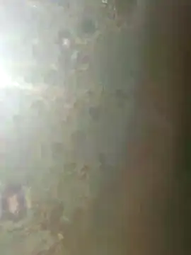 misscectito13 online show from November 18, 2025, 10:31 am