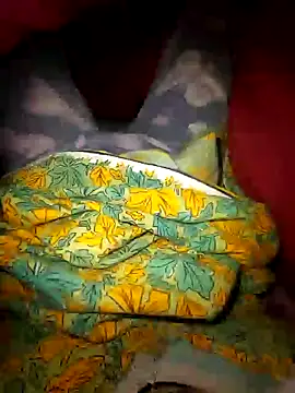 salonidesimaal online show from December 11, 2024, 5:48 pm