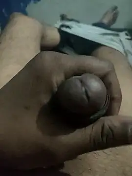 Callboy1133 online show from April 23, 2026, 11:31 am