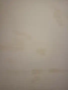 Adivaaa online show from March 25, 2026, 11:27 am