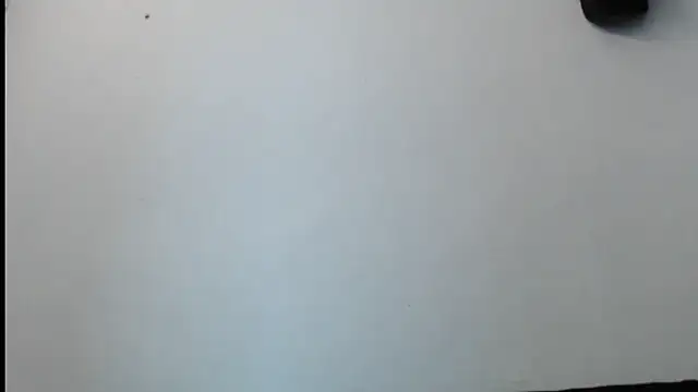 SebastianReiss online show from February 13, 2025, 1:29 am