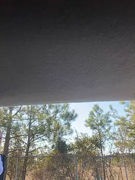 lolabunny9 online show from January 28, 2025, 4:30 pm