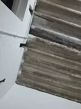 DAELAA online show from February 18, 2025, 1:54 am