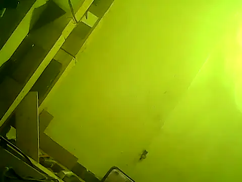 god23free online show from February 23, 2025, 3:51 pm