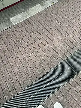 Lionayowe online show from September 27, 2025, 1:16 pm