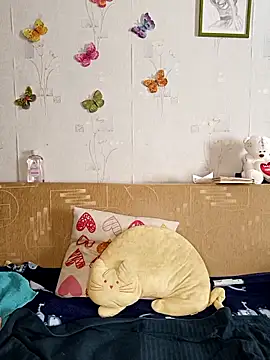 Katti Kissa online show from February 28, 2025, 10:09 am