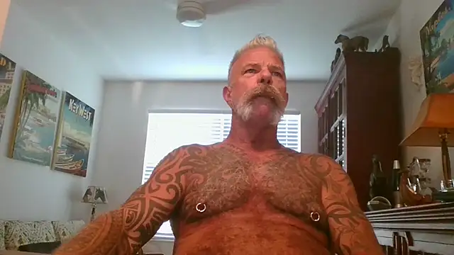 njdbear online show from November 1, 2025, 9:17 pm