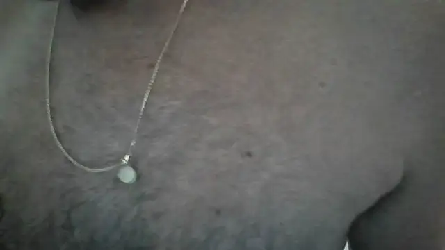 Leo Big online show from February 26, 2026, 10:14 am