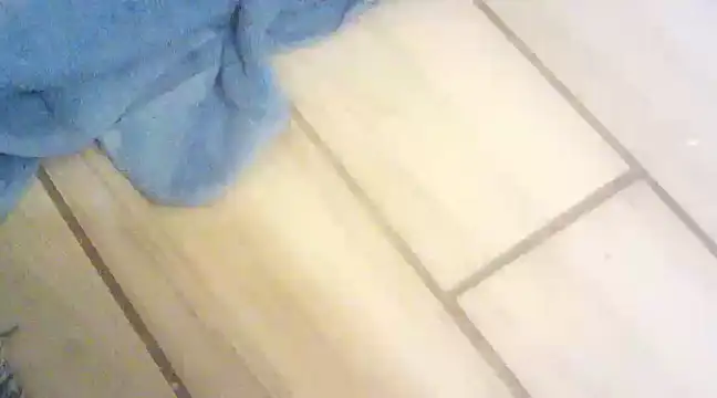 Snapshot of blasphemous chatting on January 28, 2025, 10:45 pm blasphemous online show from January 28, 2025, 10:45 pm