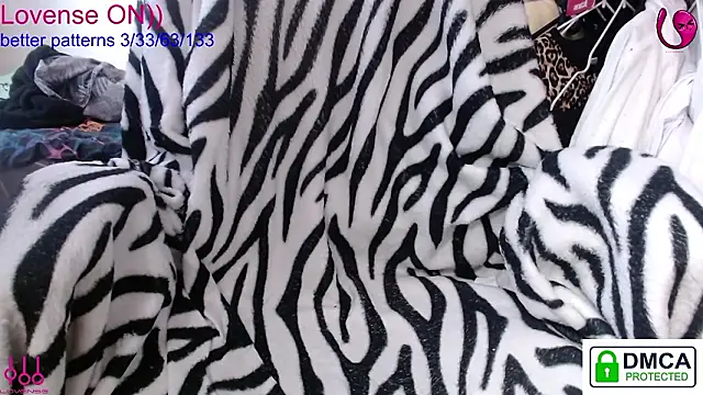 sweet cute cat online show from March 27, 2026, 10:48 am