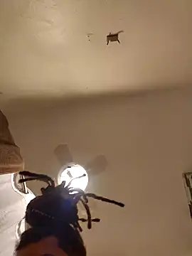 tropikboy online show from March 6, 2025, 9:58 am