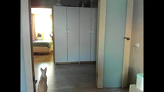 sweeetgirls2021 online show from December 12, 2024, 2:04 am