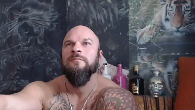 viking 30 online show from November 4, 2025, 7:51 am