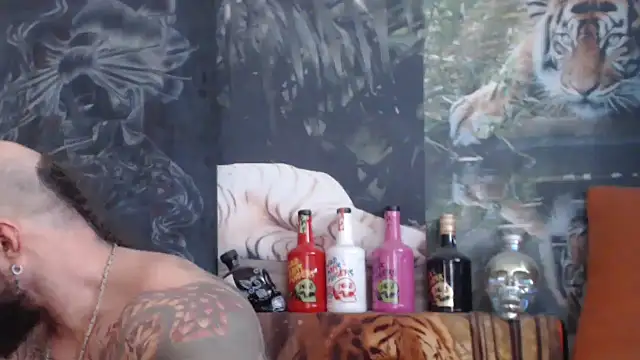 viking 30 online show from November 5, 2025, 8:03 am