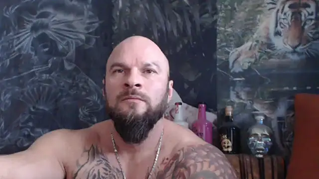 viking 30 online show from November 21, 2025, 7:51 am