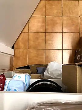 Mindnorthcam2 online show from November 17, 2025, 7:36 am