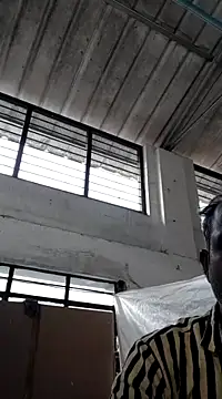 tz143143 online show from March 1, 2025, 10:45 am