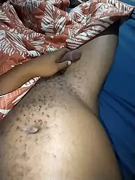 Snapshot of Dennis0847 chatting on April 6, 2026, 12:41 am Dennis0847 online show from April 6, 2026, 12:41 am