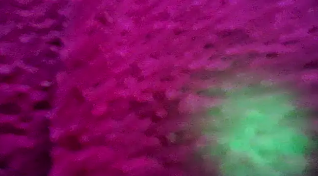 Snapshot of CZboobs chatting on February 26, 2025, 8:54 pm CZboobs online show from February 26, 2025, 8:54 pm