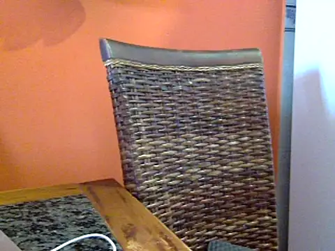 camelia3 online show from March 18, 2025, 4:26 pm