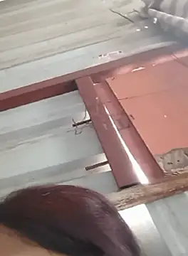 Snapshot of Manjushri35 chatting on September 24, 2025, 9:34 am Manjushri35 online show from September 24, 2025, 9:34 am