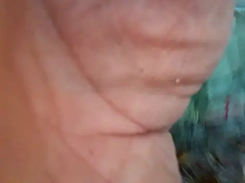 Payaso53 online show from April 11, 2026, 2:38 am