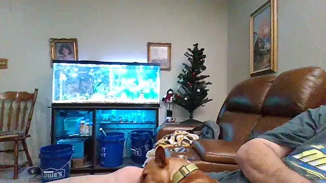 Snapshot of 1964peterbilt1 chatting on December 30, 2024, 1:48 am 1964peterbilt1 online show from December 30, 2024, 1:48 am