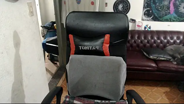 xherry horny online show from December 10, 2024, 6:01 am