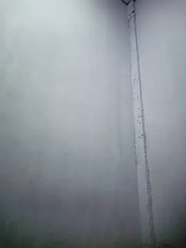 TropicalFlower online show from December 16, 2025, 10:31 am