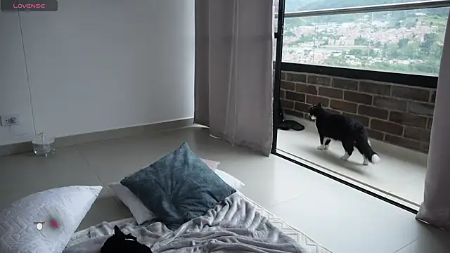 Veronica ar online show from February 12, 2025, 7:24 pm