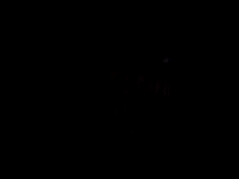 catdool online show from February 14, 2025, 11:31 pm