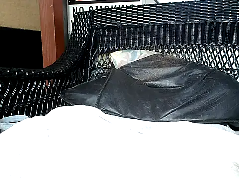 HungHawaiian808xh online show from December 16, 2024, 2:15 am