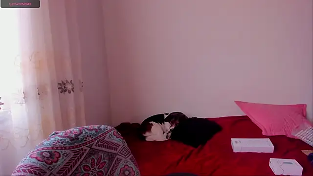 Snapshot of aluna_0310 chatting on December 9, 2024, 6:46 pm aluna 0310 online show from December 9, 2024, 6:46 pm