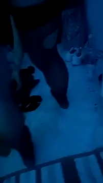 Misspadrona88 online show from December 13, 2025, 10:37 pm