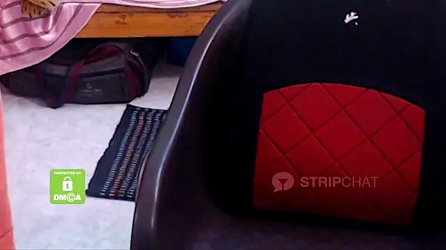 Novapol online show from January 5, 2025, 5:51 pm